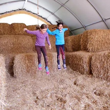 Seeschwalbe Nyaraló