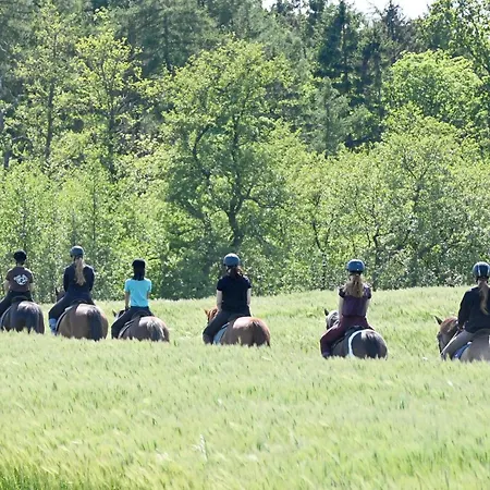 Vakantiehuis Seeschwalbe Bliesdorf