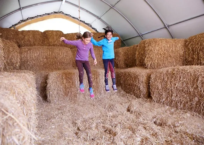 Seeschwalbe Semesterbostad