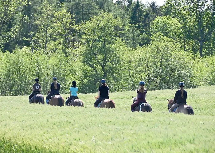Semesterbostad Seeschwalbe Bliesdorf