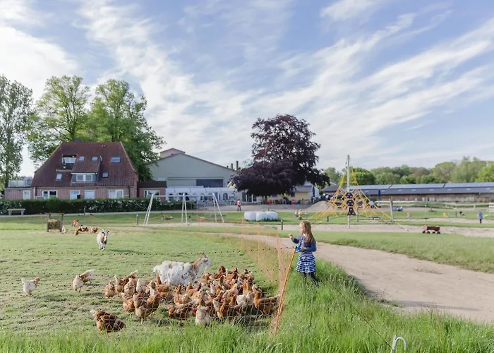 Seeschwalbe Bliesdorf